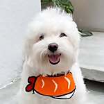 Cooper Meno