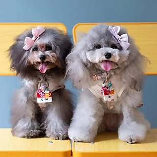 Fifi and Qiqi 