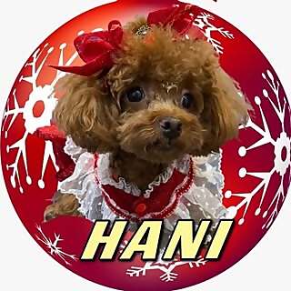 Hani & Mini