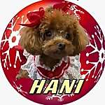 Hani & Mini
