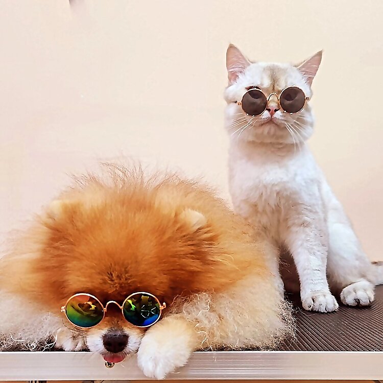 LuLu & BiuBiu