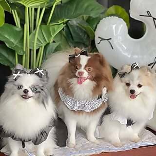 Meimei, Nini & Nana