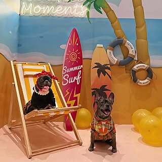 Mylo, Mooncake & Kuay Teow