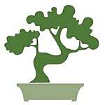 Shivam Bonsai
