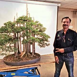 Sanjay Dham