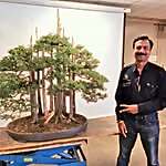 Sanjay Dham
