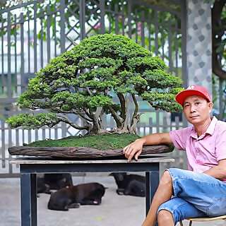 Toan Huynh