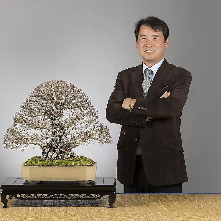 Bonsai Mania Chumok Jang Hyeong-soo