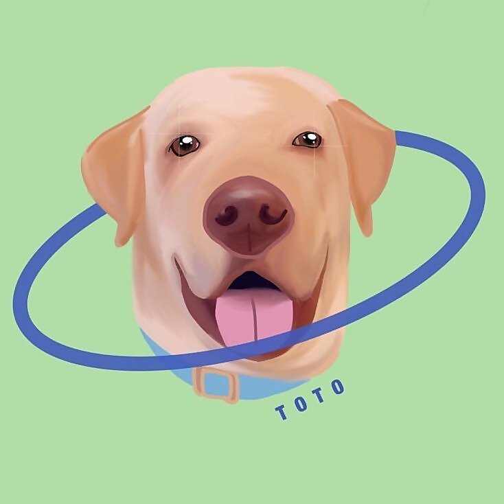 Toto