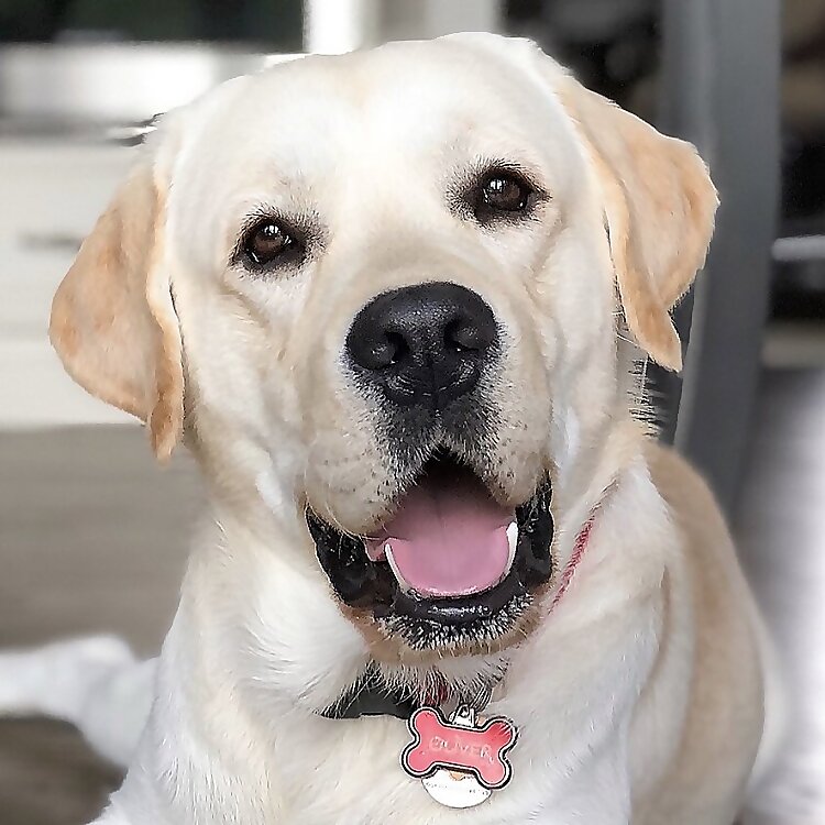 Sir Oliver 