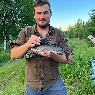 David Gustafsson