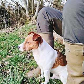 British Country Living