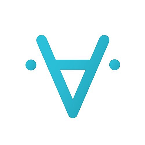 Hieu Vu
