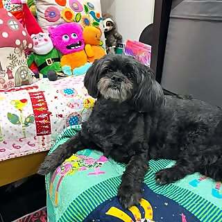 Leeann and Kayleigh Murphy