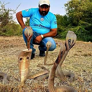 Afsar Hussain