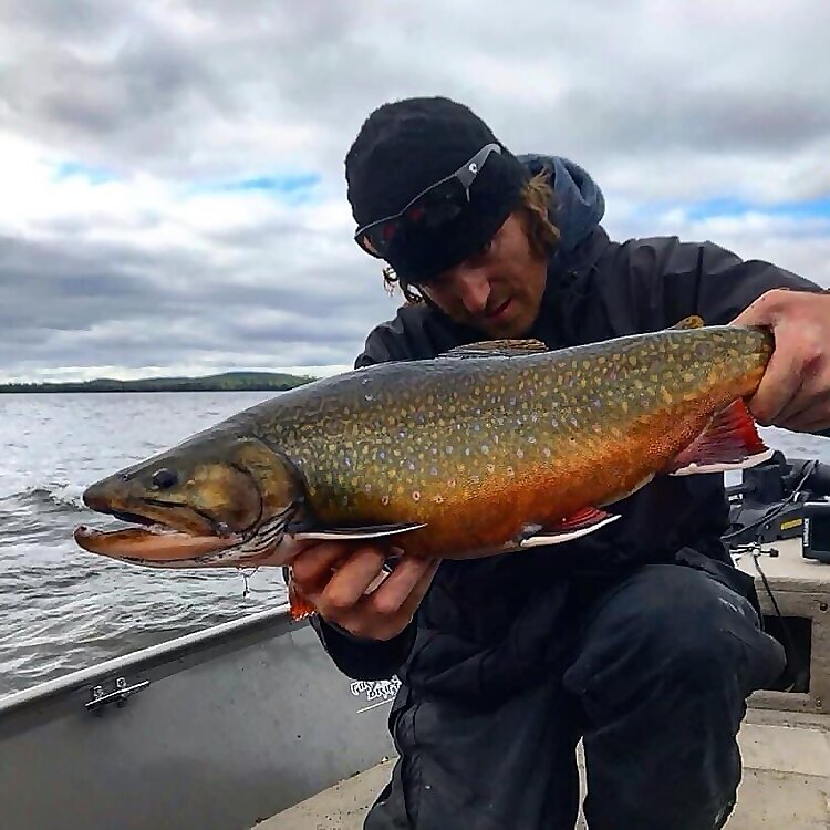 Tyler Dunn
