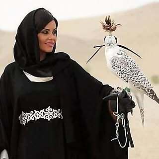 Adventuresinabaya