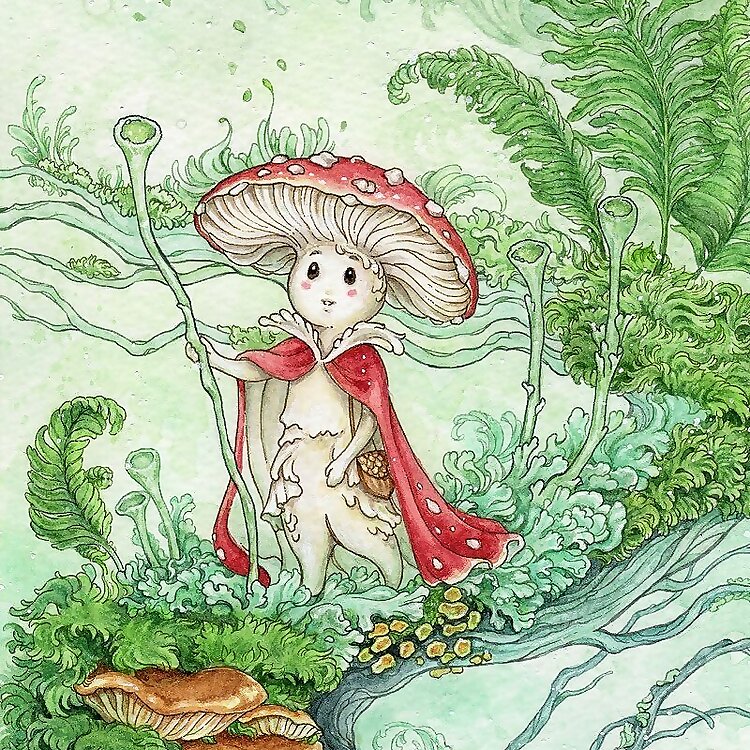 Meredith Dillman