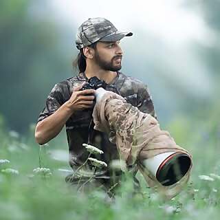 Sasan Amir 