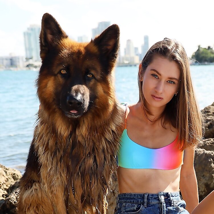 Apollo 