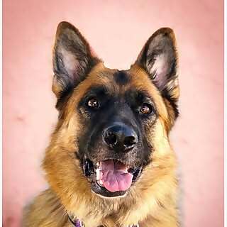 Kiara