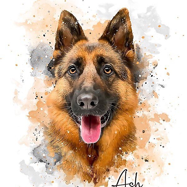 Ash 