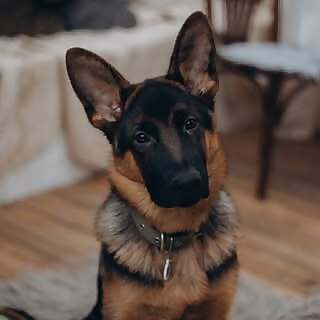 Lord