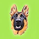 Duke 