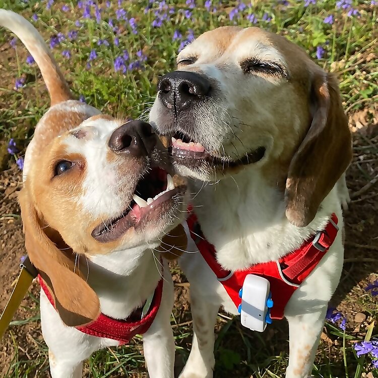 Ben & Artie