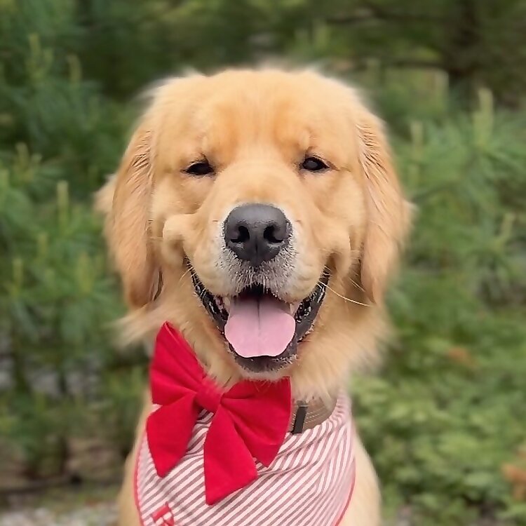 Rudy