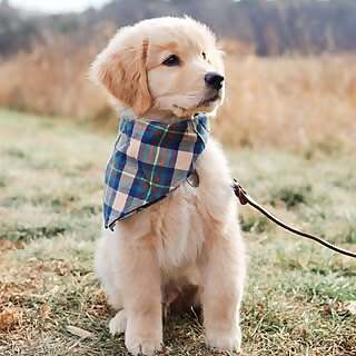 Dewey Edward & Madeline