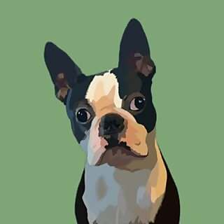 Ziggy Yoda Gee
