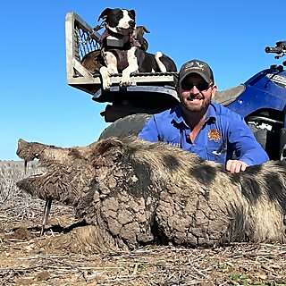Brendan Hatton