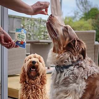 Sarah, Chester & Crumble
