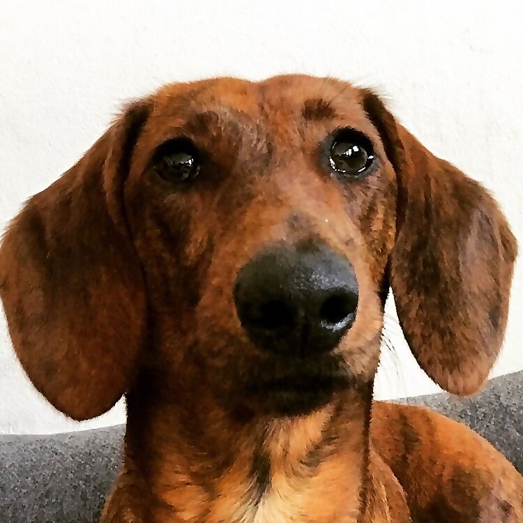 Helga