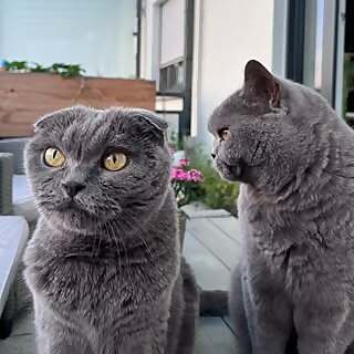 Keanu and Kiara