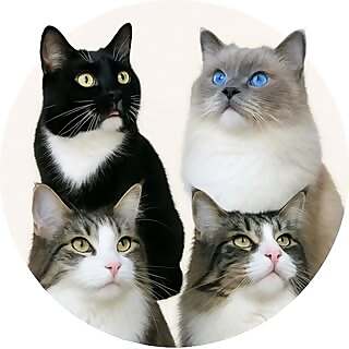 Susanne Schneider  MV