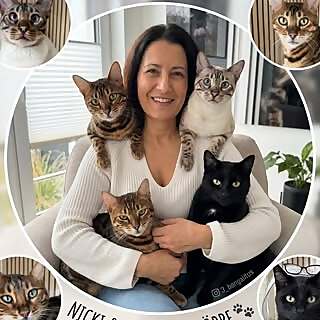 Nicki Flack | 3_bengalitos