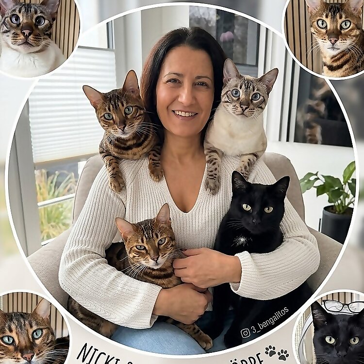 Nicki Flack | 3_bengalitos