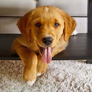 Billy