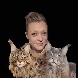 Nicky Bistiak★Hugo★Nemo★Karlo★Catfluencer★