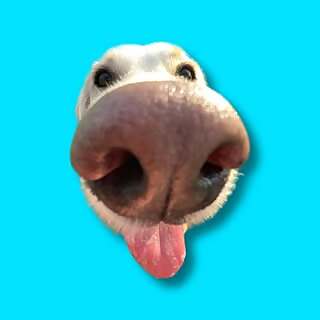 Lottada