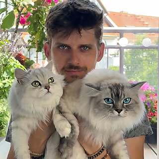 Tobias Krüger & 5 Katzen