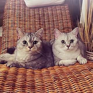 Fiete ♡ Piefke