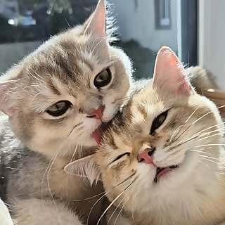 Nami & Gustav