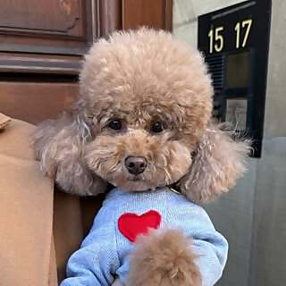 Molly