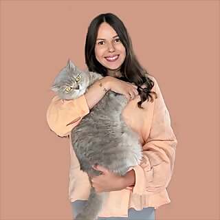 Lisa | Catmom | Leben mit Katzen