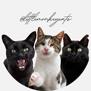 Teddy & Tiggi 