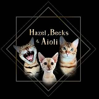 Hazel & Becks