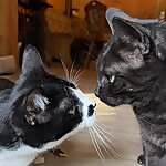 Willi & Albert